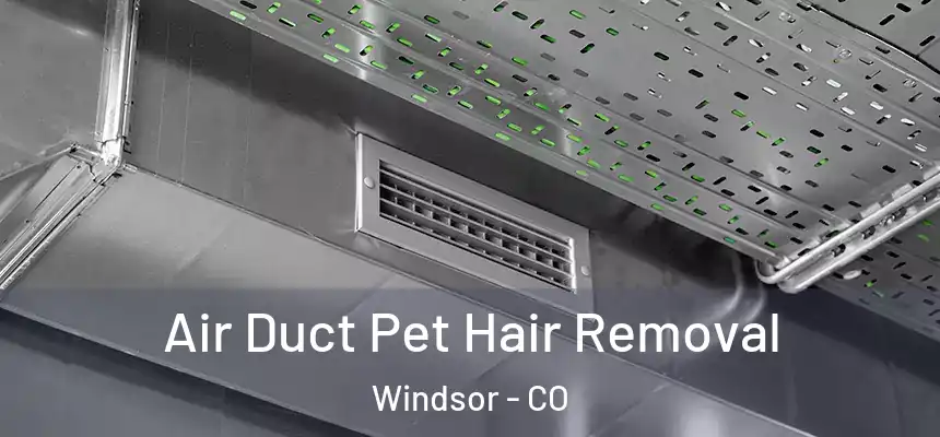  Air Duct Pet Hair Removal Windsor - CO
