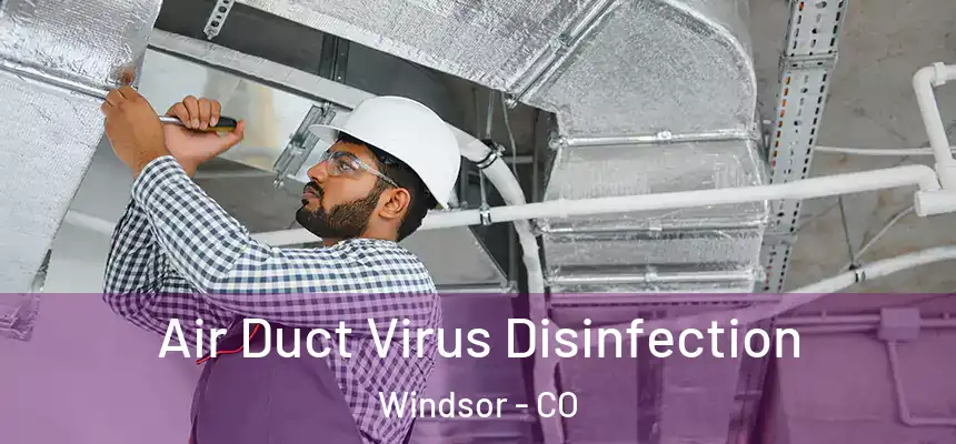  Air Duct Virus Disinfection Windsor - CO