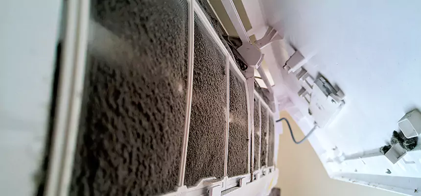 Preventive Air Duct Bacteria Removal in Windsor