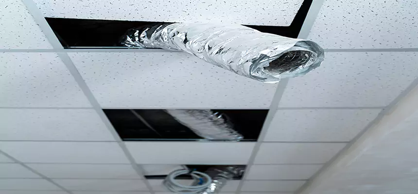 Our Air Duct Pet Hair Removal Services in Windsor, CO