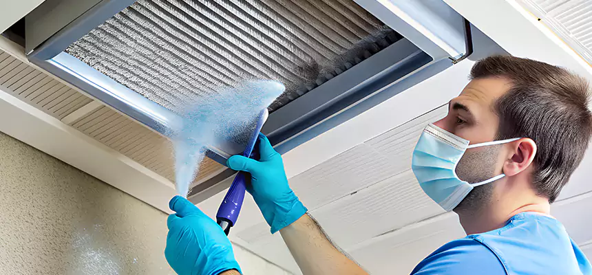 Proactive Dryer Vent & Auxiliary Duct Pollen Cleanup in Windsor, CO
