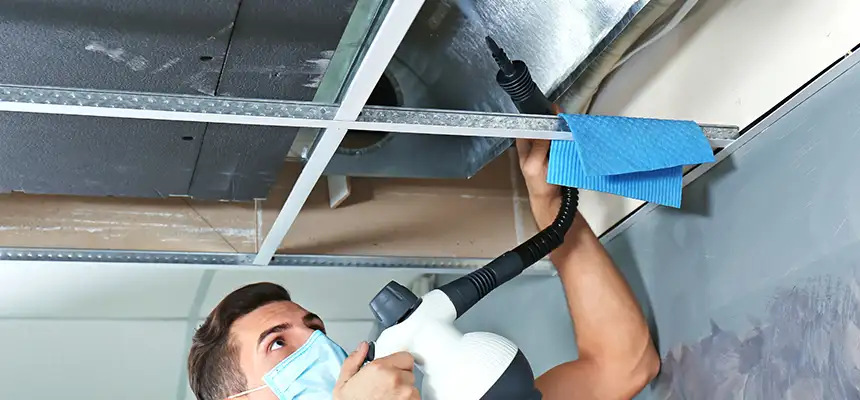 Our Air Duct Rodent Removal Services in Windsor, CO