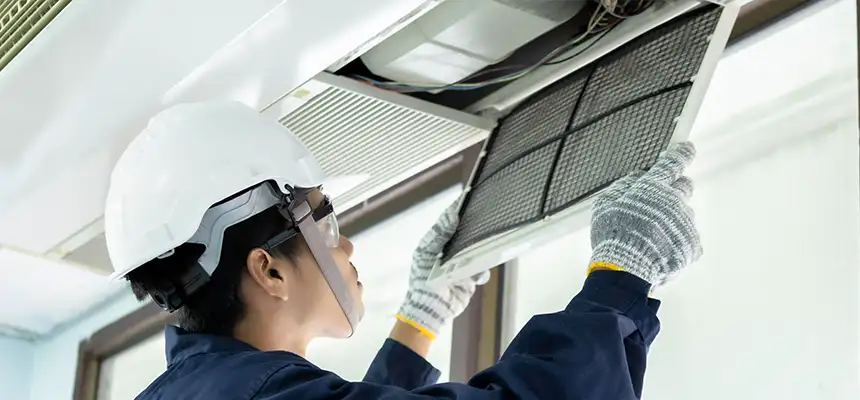 Our Lint Trap Cleaning Service Services in Windsor, CO