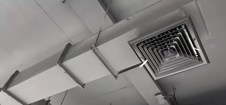 Our Rodent Droppings In Vents Services in Windsor, CO