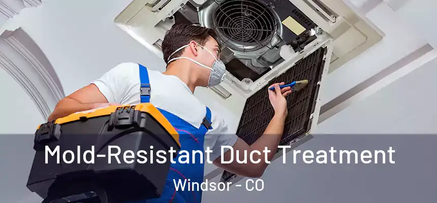  Mold-Resistant Duct Treatment Windsor - CO