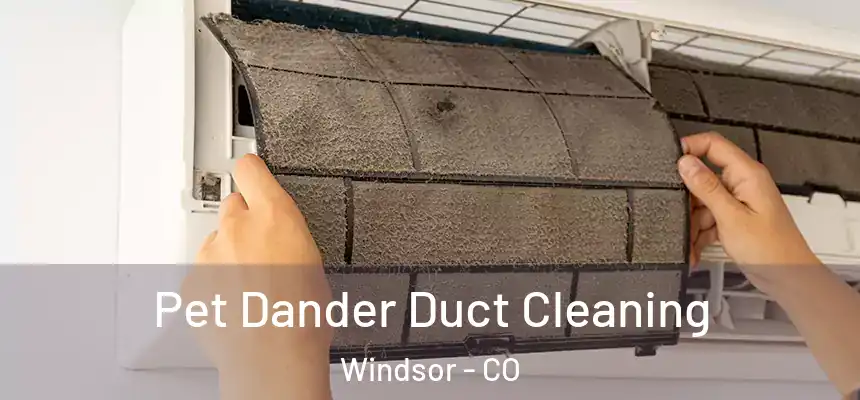  Pet Dander Duct Cleaning Windsor - CO
