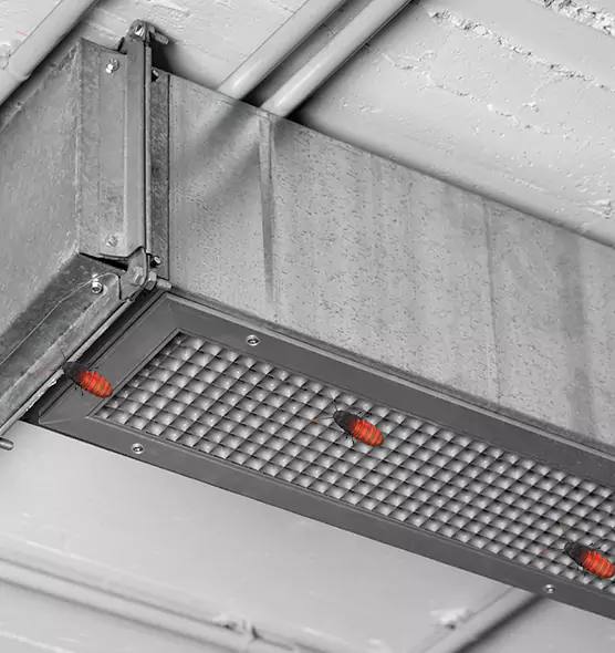 About Air Duct Cockroach Removal in Windsor, CO