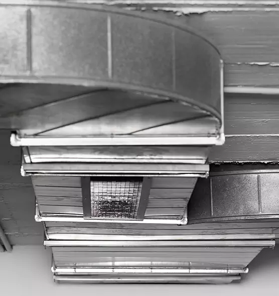 Professional Air Duct Pest Removal in Windsor, CO