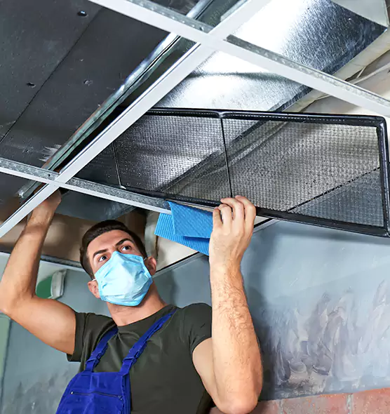 Professional Air Duct Pollen Cleaning in Windsor, CO