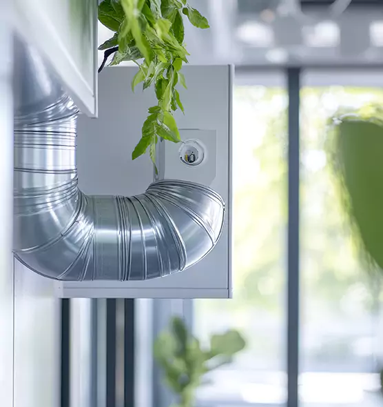 Professional Eco-Safe Dryer Vent Cleaning in Windsor, CO