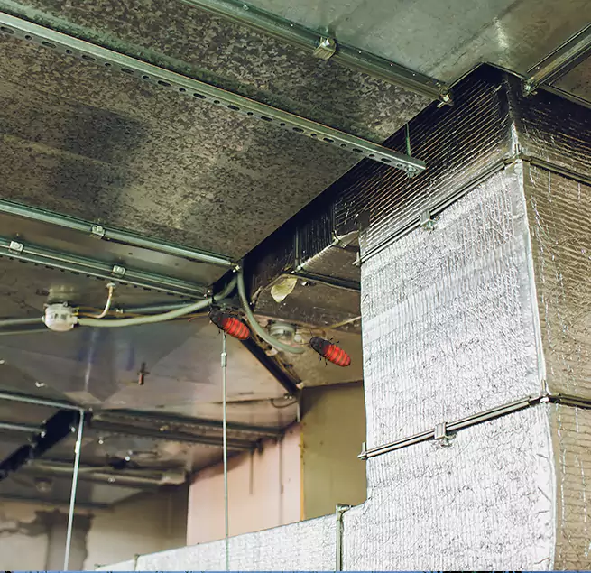 Why Homeowners & Businesses Trust Us in Windsor, CO?