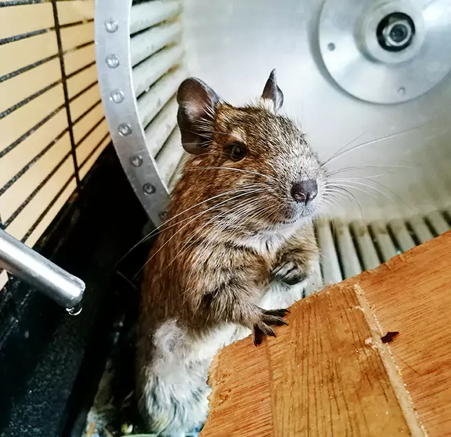 Why Homeowners & Businesses Trust Us Windsor, CO?