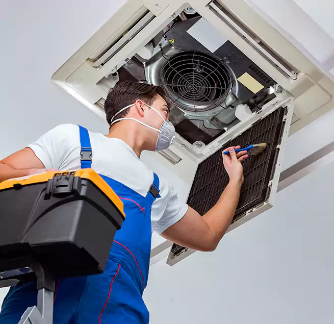 Why Homeowners & Businesses Trust Us in Windsor, CO