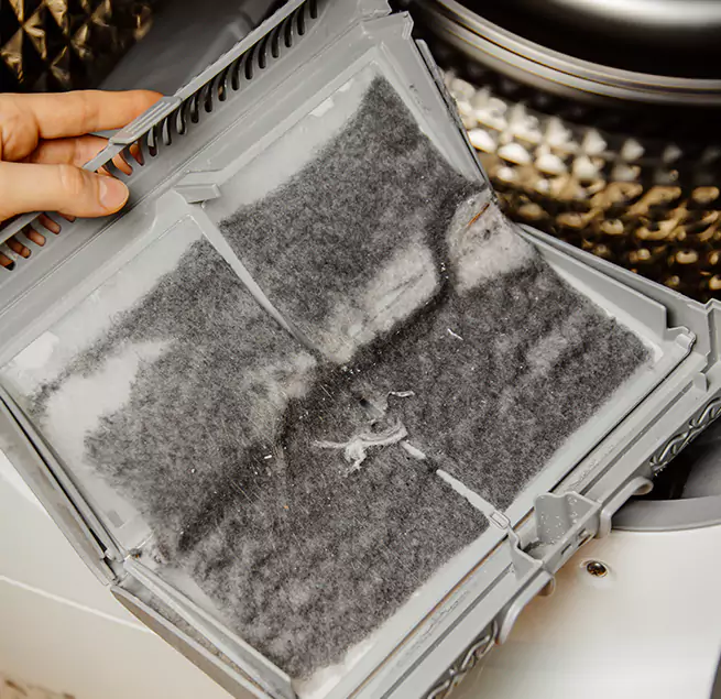  Why Homeowners & Businesses Trust Us Windsor, CO?