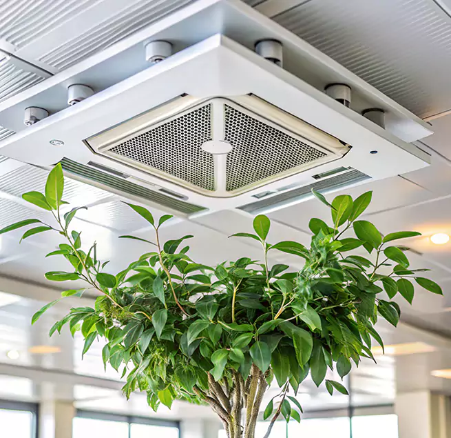 Why Homeowners & Businesses Trust Us in Windsor, CO?