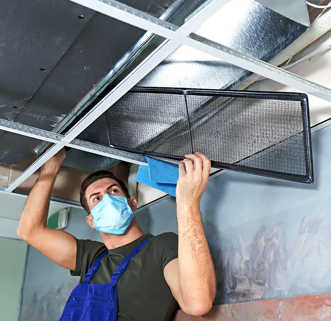 Why Homeowners & Businesses Trust Us in Windsor, CO?